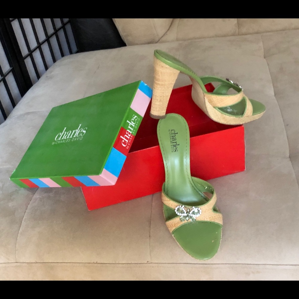 Charles David slide on sandals